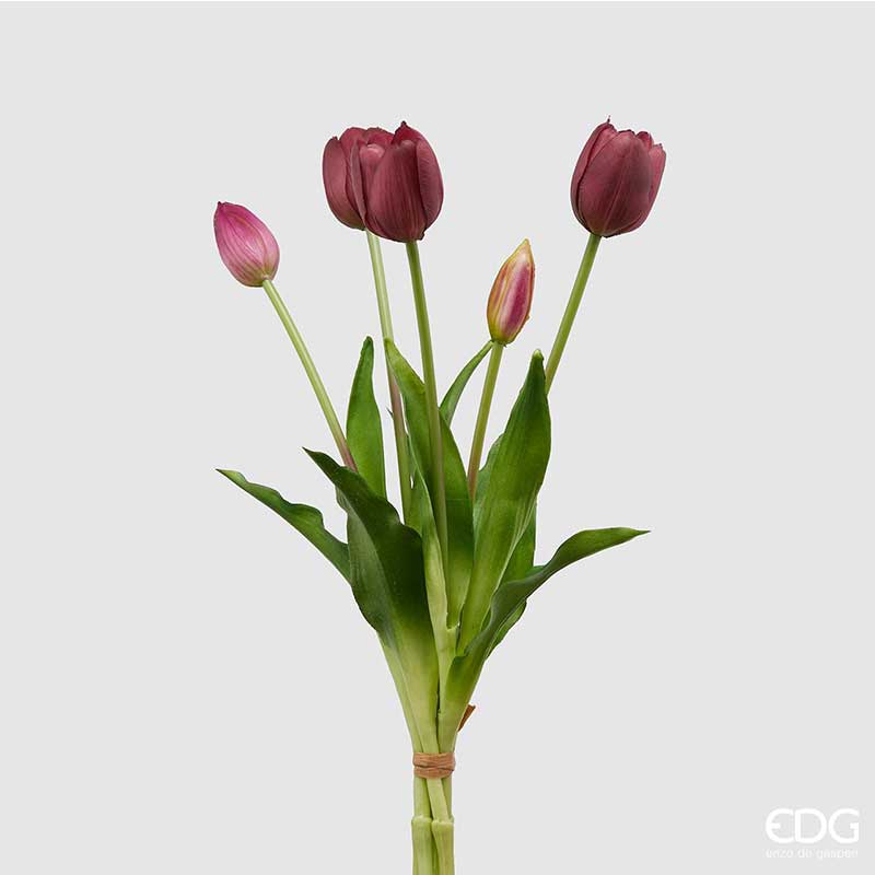 EDG Bouquet di 5 Tulipani – Bordeaux