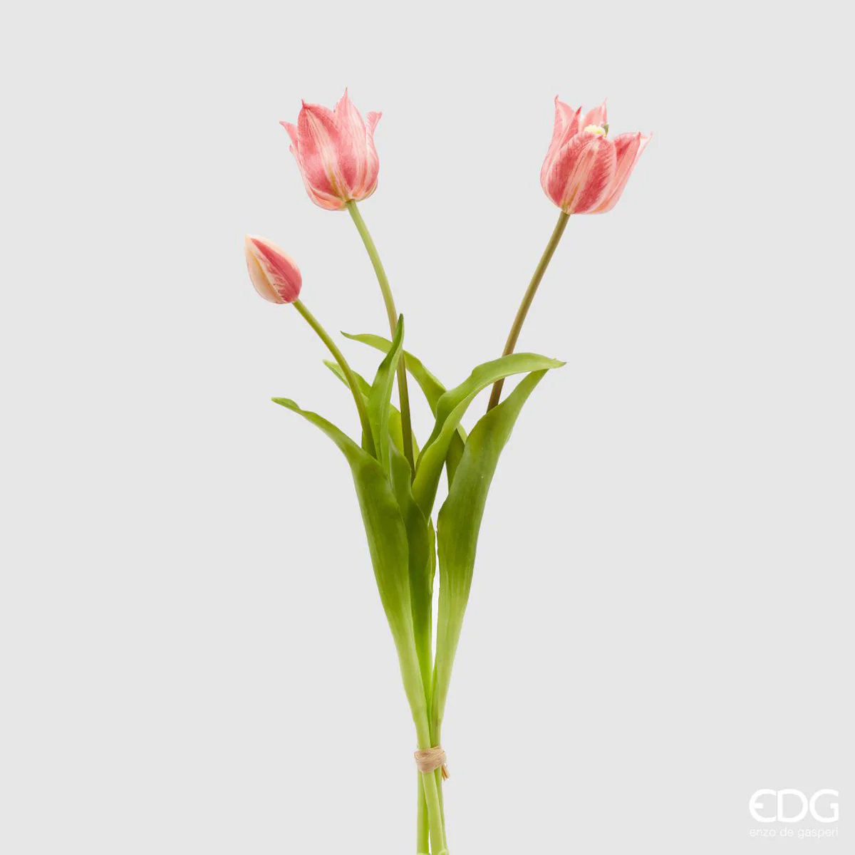 EDG Bouquet di 5 Tulipani – Rosa Sfumanto