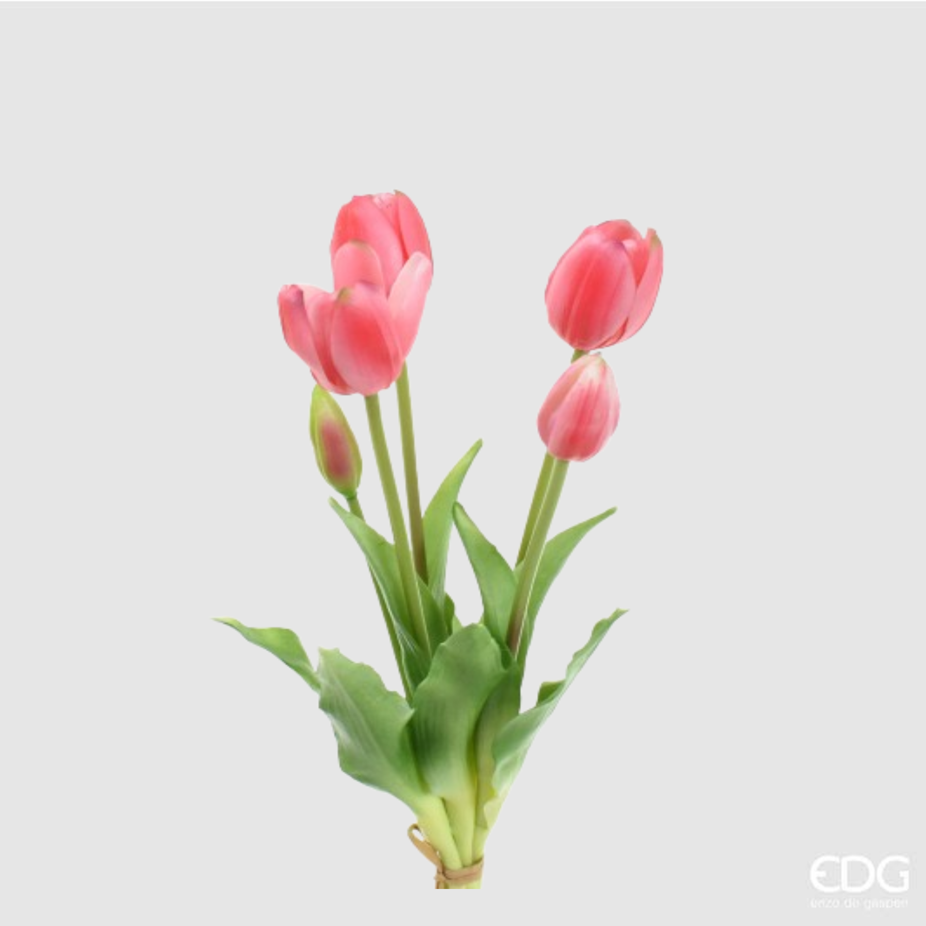 EDG Bouquet di 5 Tulipani – Rosa Arancio