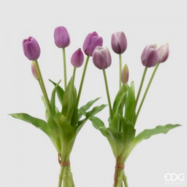 EDG Bouquet di 5 Tulipani – Viola Sfumanto